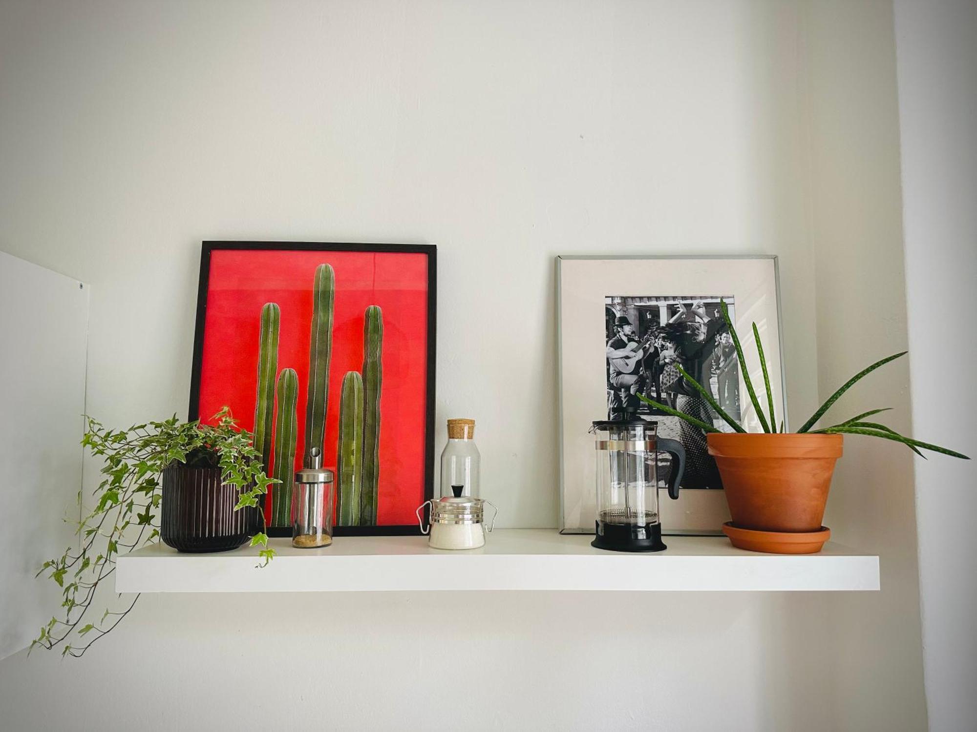 Boho Apartment In Old Town 브라티슬라바 외부 사진