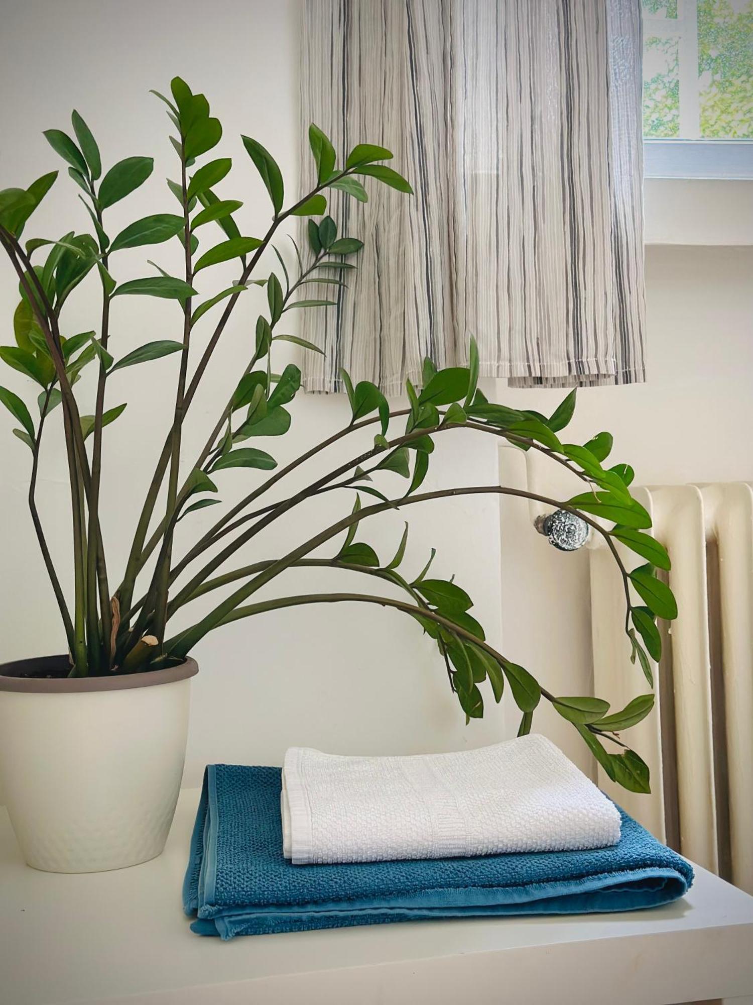 Boho Apartment In Old Town 브라티슬라바 외부 사진