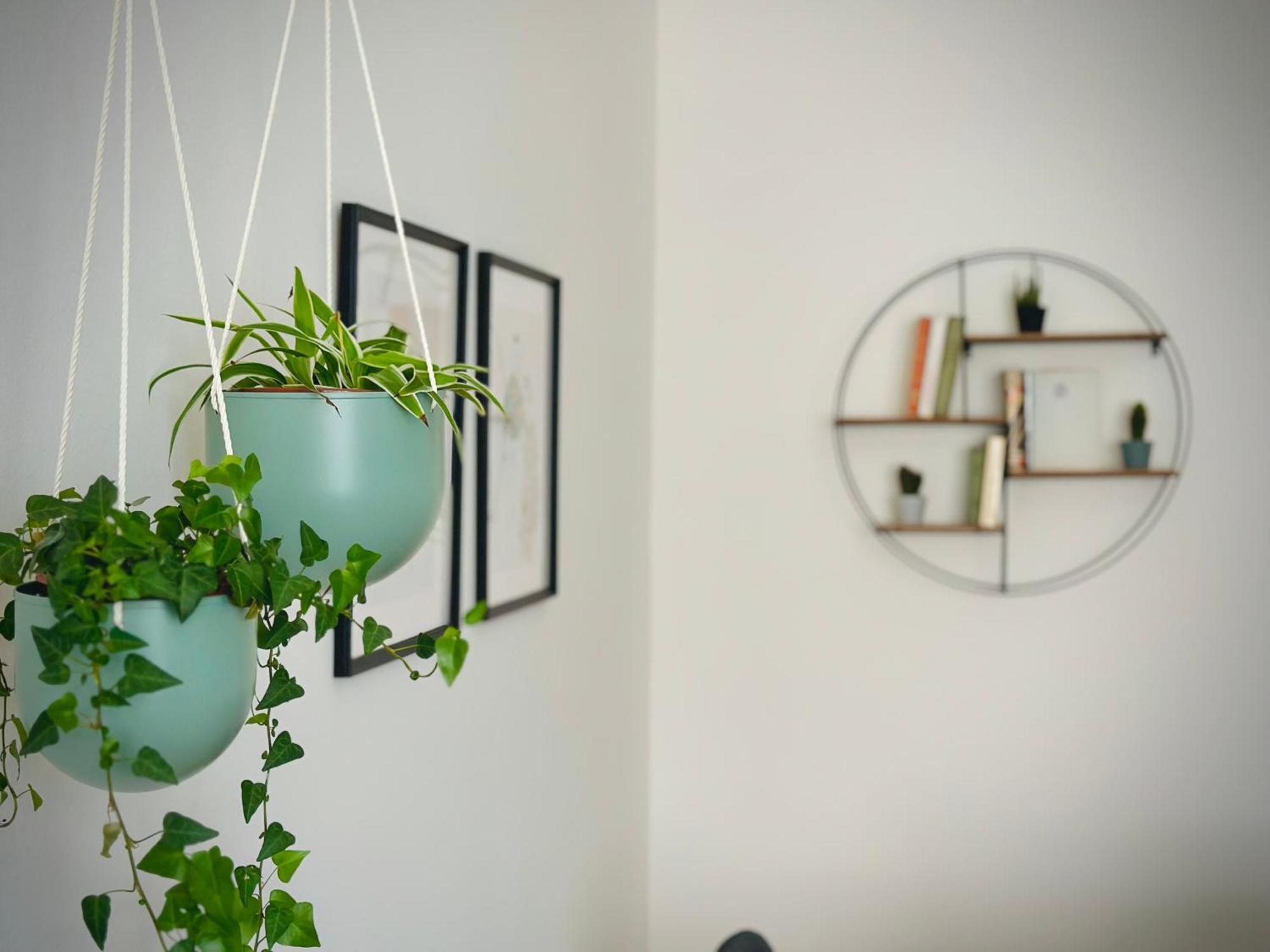 Boho Apartment In Old Town 브라티슬라바 외부 사진